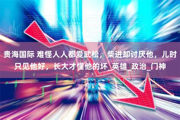 贵海国际 难怪人人都爱武松，柴进却讨厌他，儿时只见他好，长大才懂他的坏_英雄_政治_门神
