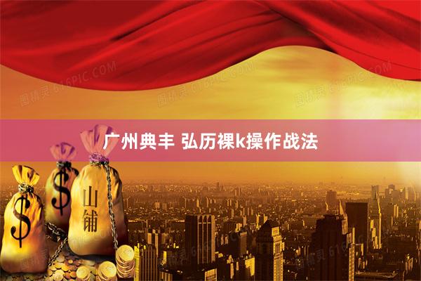 广州典丰 弘历裸k操作战法