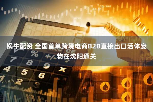锅牛配资 全国首单跨境电商B2B直接出口活体宠物在沈阳通关