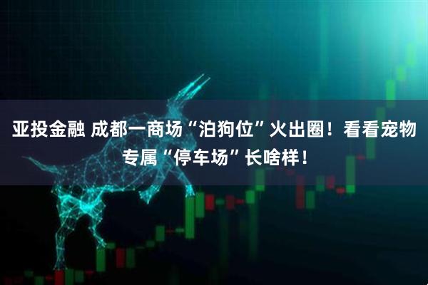 亚投金融 成都一商场“泊狗位”火出圈！看看宠物专属“停车场”长啥样！
