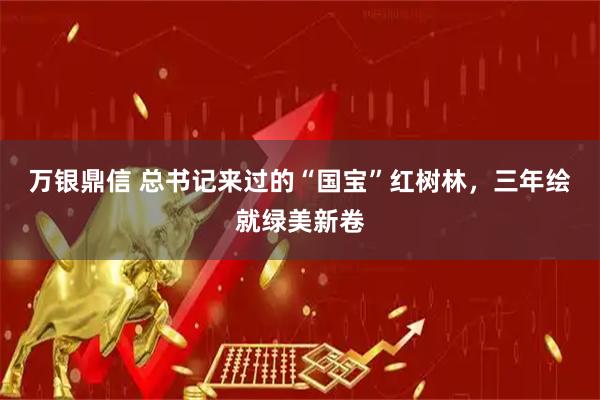 万银鼎信 总书记来过的“国宝”红树林，三年绘就绿美新卷