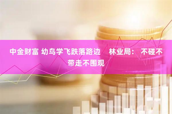 中金财富 幼鸟学飞跌落路边    林业局： 不碰不带走不围观
