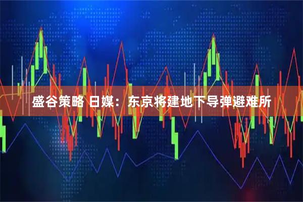 盛谷策略 日媒：东京将建地下导弹避难所